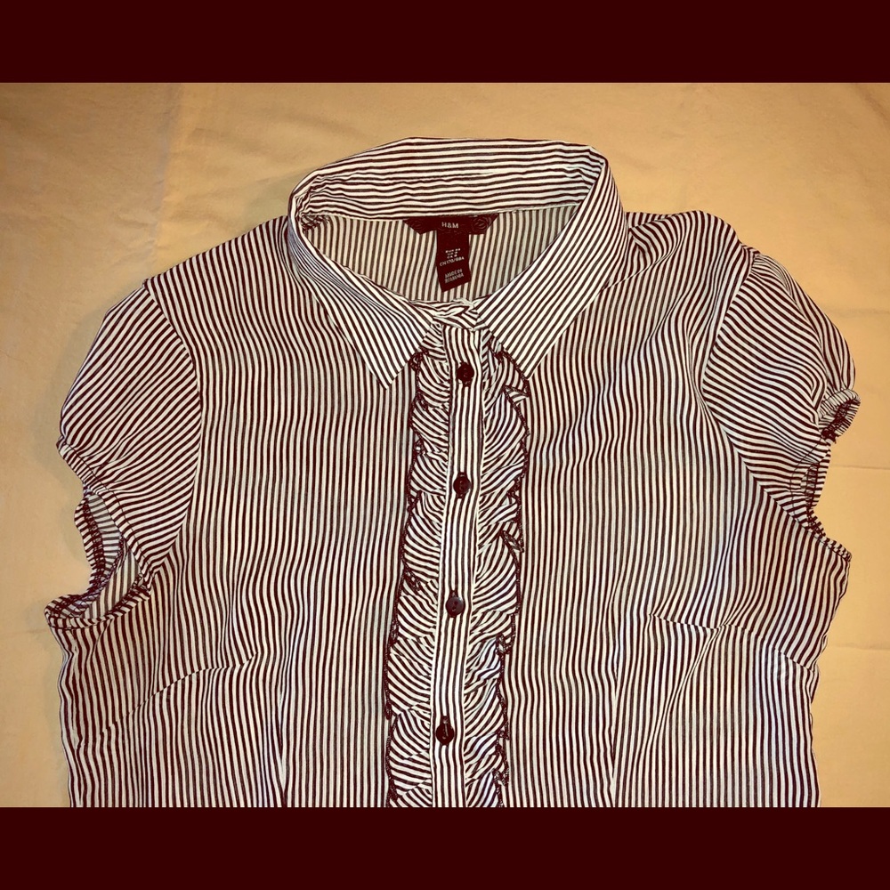 H&M sheer button down blouse